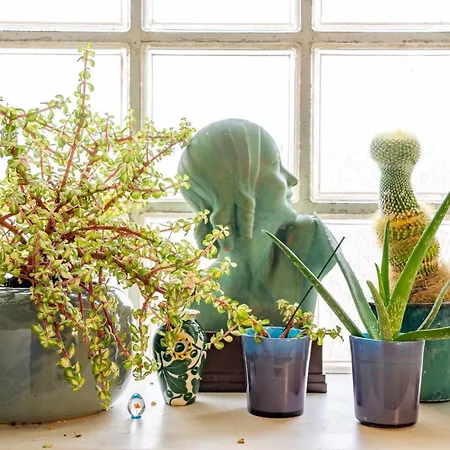 Chez Francesca Gasthuis *