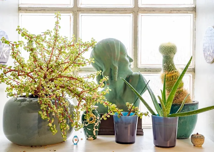 Chez Francesca Gasthuis *